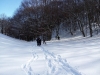 img_20170122_110400