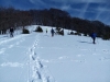 img_20170122_134349