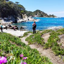Isola d’Elba: una meraviglia fuori dal mondo!