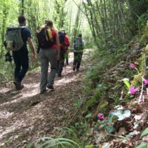 L’anello del Monte Luco di Spoleto (01.05.17)