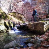 Monte Cucco – Il grande anello: faggete stupende, torrenti e la spettacolare cima!