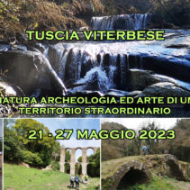 Tuscia Viterbese: natura, archeologia e arte in un territorio straordinario!