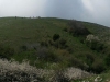 Escursione,assisi,monte,subasio,passeggiata