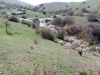 Escursione,trekking,assisi,monte,subasio,passeggiata