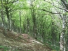 fonte avellana monte catria escursione