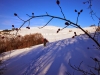 ciaspolata-pantani-sibillini-neve
