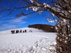 ciaspolata-pantani-sibillini-neve7