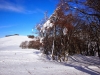 ciaspolata-pantani-sibillini-neve9