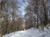 ciaspolata-pian-piccolo-sibillini-neve3