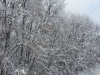 12ciaspolata-sibillini-umbria-trekking-outdoor