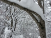ciaspolata-sibillini-umbria-trekking-outdoor11