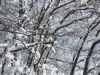 ciaspolata-sibillini-umbria-trekking-outdoor4