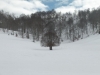 immagine-033