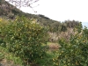 escursioni,trekking,outdoor,isola,d'elba