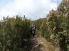 escursioni,trekking,outdoor,isola,d'elba