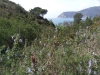 escursioni,trekking,outdoor,isola,d'elba