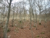 escursione-monte-cucco-umbria-trekking14