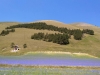 escursione,passeggiata,sibillini,fioritura,castelluccio