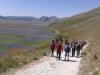 escursione,passeggiata,sibillini,fioritura,castelluccio