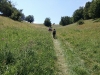 escursione,passeggiata,sibillini,fioritura,castelluccio