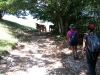 escursione,passeggiata,sibillini,fioritura,castelluccio