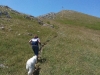 escursione,passeggiata,sibillini,fioritura,castelluccio