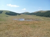 escursione,passeggiata,sibillini,fioritura,castelluccio