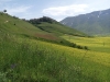 passeggiata fioritura castelluccio escursioni sibillini