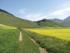 passeggiata fioritura castelluccio escursioni sibillini