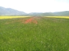 passeggiata fioritura castelluccio escursioni sibillini