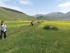 passeggiata fioritura castelluccio escursioni sibillini