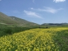 passeggiata fioritura castelluccio escursioni sibillini