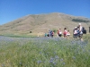 Escursione passeggiata per la fioritura di Castelluccio di Norcia