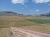 Escursione passeggiata per la fioritura di Castelluccio di Norcia