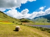 Escursioni,passeggiate,fioritura castelluccio,norcia,monti sibillini