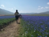 Escursioni,passeggiate,fioritura castelluccio,norcia,monti sibillini