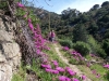 escursioni isola d'Elba trekking