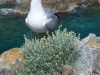 escursioni isola d'Elba trekking