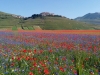 trekking-sibillini-castelluccio