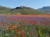 trekking-sibillini-castelluccio