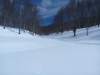 img_20150301_122558