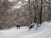 img_20160116_110553