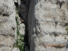Escursione Monte Bove Sibillni Camosci