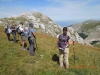 escursioni,montebove,camosci,montisibillini,outdoor