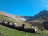 escursioni,montebove,camosci,montisibillini,outdoor