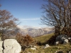 escursione-monte-cardosa-sibillini9