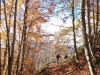 Escursione Trekking Monte Catria Acuto Fonte Avellana