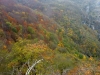 Escursione Trekking Monte Catria Acuto Fonte Avellana