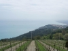 escursione-monte-conero-marche12