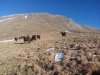 Escursione-monte-pizzuto-gran sasso-monti-sibllini